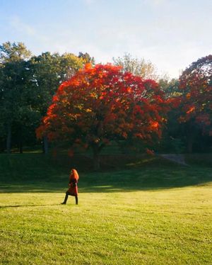 Image post by @mtl_unscripted on Instagram