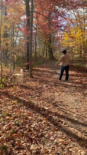 Video post by @relkefitness on Facebook