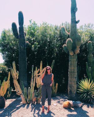 Image post by @charlottezta on Instagram