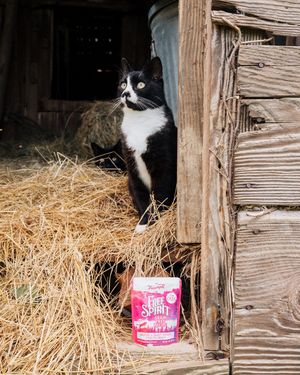 Image post by @triumphpetfood on Instagram