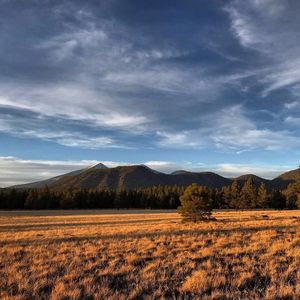 Image post by @nauflagstaff on Instagram