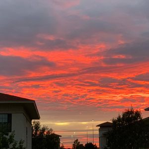 Image post by @utsastudents on Instagram