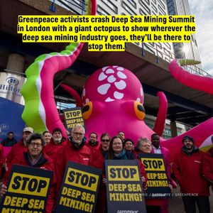 Image post by @greenpeace on Instagram