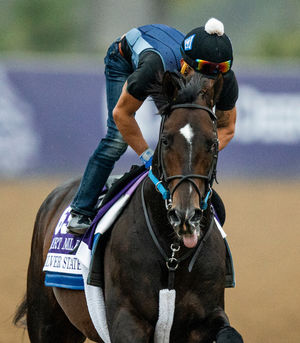 Image post by @breederscup on Instagram