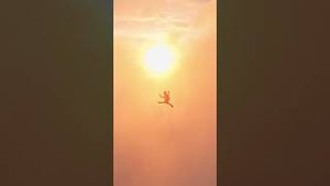 Video post by @gopro on YouTube
