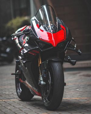 Image post by @panigalers on Instagram