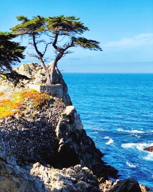 Image post by @pebblebeachresorts on Instagram