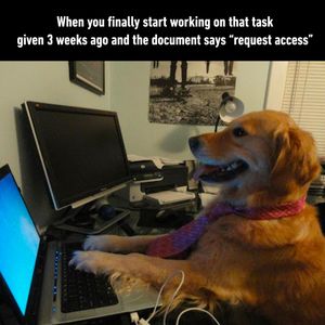 Image post by @9gag on Instagram