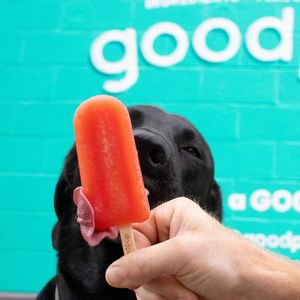 Image post by @goodpop on Instagram