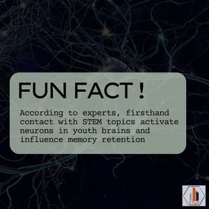 Image post by @starprogramxp on Instagram
