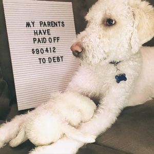 Image post by @daveramsey on Instagram