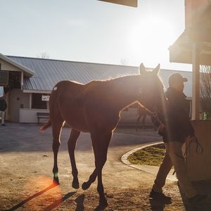 Image post by @keeneland on Instagram