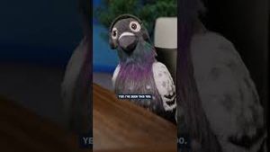 Video post by @directv on YouTube