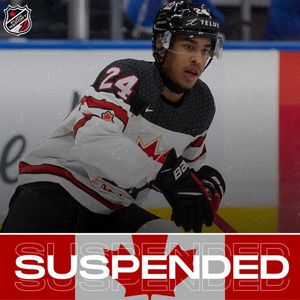 Image post by @puckreportnhl on Instagram