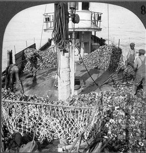 Image post by @mdhistory on Instagram