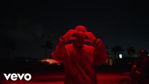 Video post by @feidvevo on YouTube