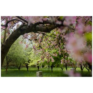 Image post by @waterworthr on Instagram