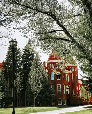 Image post by @nauflagstaff on Instagram