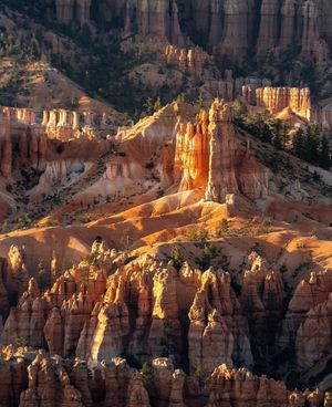 Image post by @nationalparkscollective on Instagram
