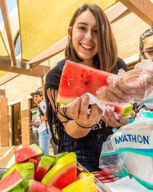 Image post by @utrgv on Instagram