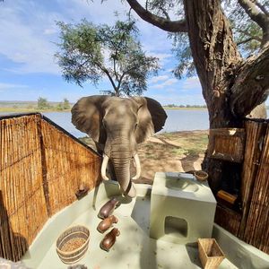 Image post by @chiawasafaris on Instagram