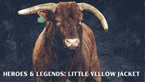 Video post by @pbr on YouTube