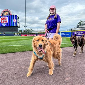 Image post by @buffalobisons on Instagram