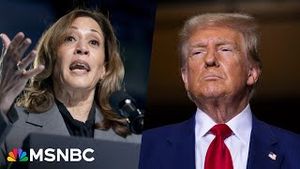 Video post by @msnbc on YouTube