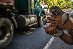 Image post by @natgeo on Instagram