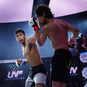 Image post by @upnextfighting on Instagram