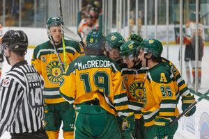 Image post by @bearsandpandas on Instagram