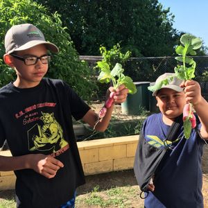 Image post by @kidsgardening on Instagram