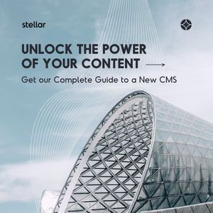 Image post by @stellaragency on Instagram