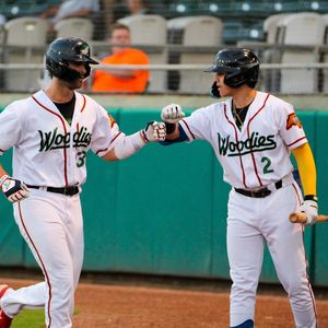 Image post by @gowoodducks on Instagram