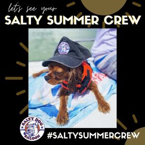 Image post by @saltydoggainesville on Facebook