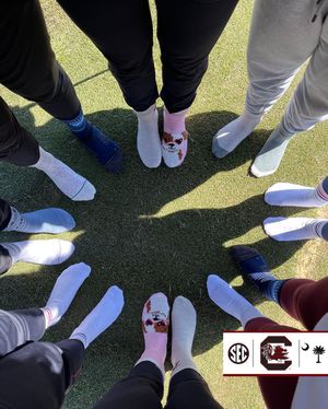 Image post by @gamecockwgolf on Instagram