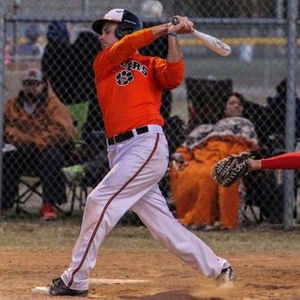 Image post by @rawlingstigers on Instagram