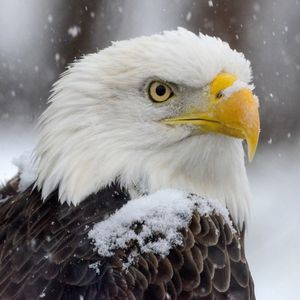 Image post by @foxweather on Instagram