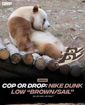 Image post by @drip on Instagram