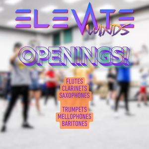 Image post by @elevatewinds.in on Instagram