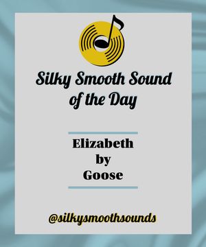 Image post by @silkysmoothsounds on TikTok