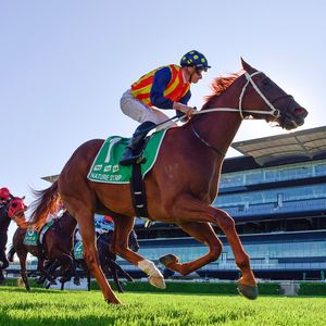 Image post by @australianturfclub on Instagram