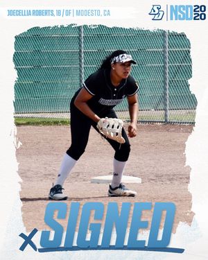 Image post by @usdsoftball on Instagram
