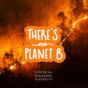 Image post by @centerforbiodiv on Instagram