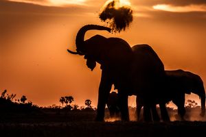 Image post by @natgeo on Instagram
