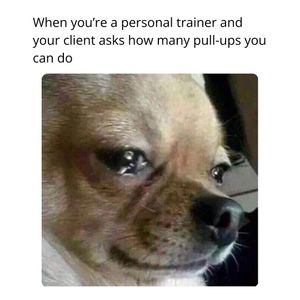 Image post by @chinuptrainingdenver on Instagram
