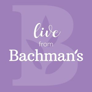 Image post by @shopbachmans on Instagram