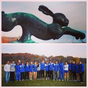 Image post by @hofstratrackxc on Instagram