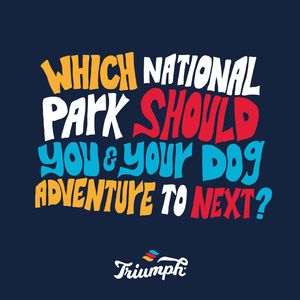 Image post by @triumphpetfood on Instagram