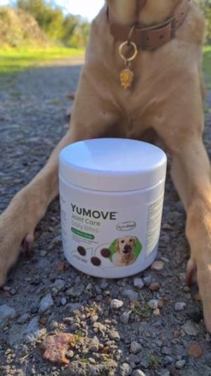 Video post by @YuMOVE.US on Facebook